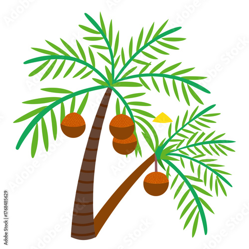 Cartoon coconut palm tree with coconuts and vietnamese conical hat