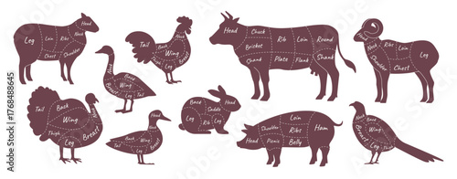 Meat cut. Butcher animal silhouette, cow part guide diagram. Farm cattle, rabbit, bird and lamb for butchery shop. Food scheme. Graphic silhouette blackboard isolated vector illustration