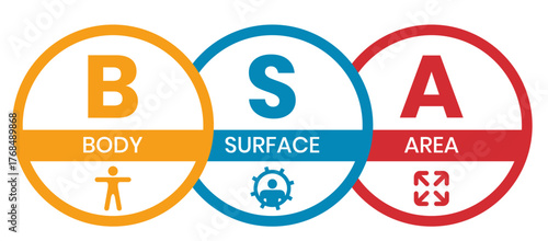BSA - Body Surface Area acronym. business concept background. vector illustration concept with keywords and icons. lettering illustration with icons for web banner, flyer