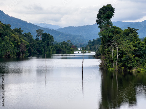 Tasik Kenyir tropical lake and rainforest landscape in Terengganu ,Malaysia. 