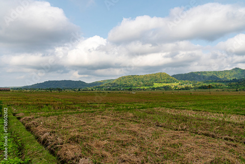 Beautiful Rural Landscape with Green Hills, Rice Fields, and Cloudy Blue Sky