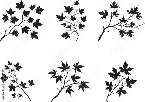 Six black silhouettes of maple leaves and branches vector illustration