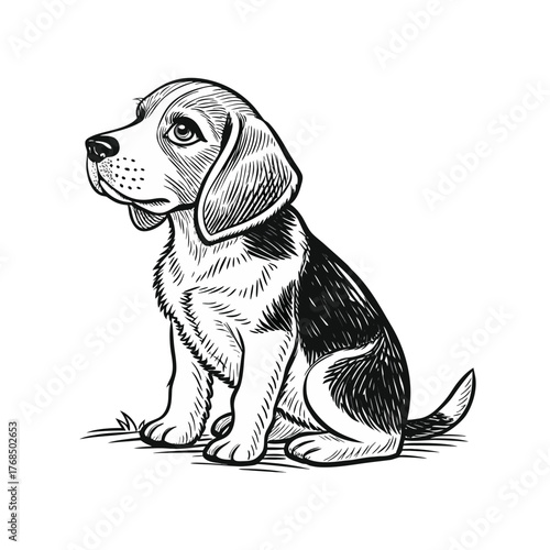 A meticulously detailed full body illustration featuring a diverse array of elements rendered with precision and vibrant color choices for impactful visual communication