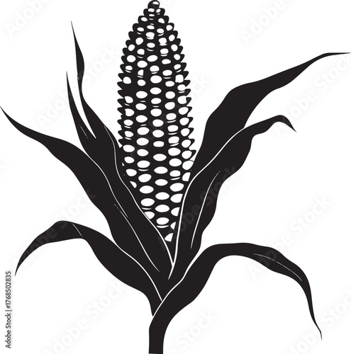A black and white illustration of a corn stalk with a single ear of corn.