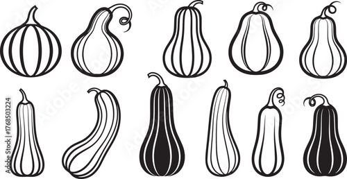 A collection of black and white illustrations of various squash and gourd shapes.