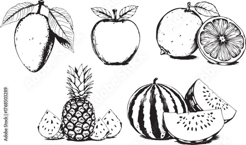 black and white sketch suite fruit eps vector file