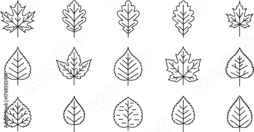 A collection of various leaf icons, including maple, oak, and birch leaves, in a minimalist line art style.