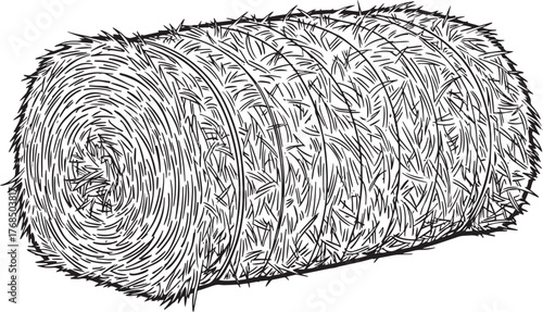 A rolled hay bale on a white background.