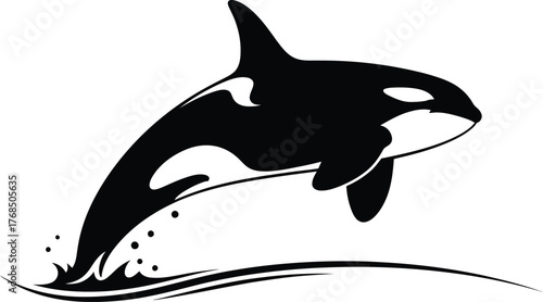 Majestic orca whale leaping through ocean waves dynamic silhouette for marine life enthusiasts flat design vector illustration isolated on transparent background