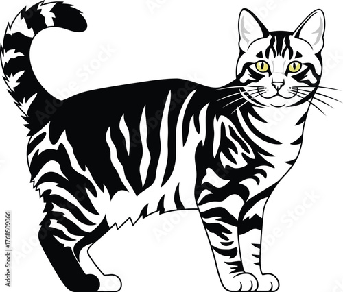 Classic tabby cat standing proudly with striped fur and bushy tail detailed drawing flat design vector illustration isolated on transparent background