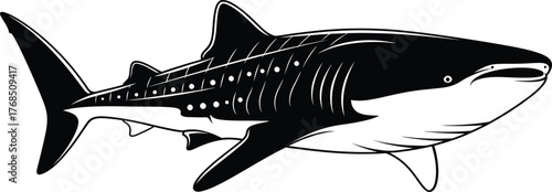 Majestic whale shark illustration hand drawn sketch marine life ocean creature artistic design flat design vector illustration isolated on transparent background