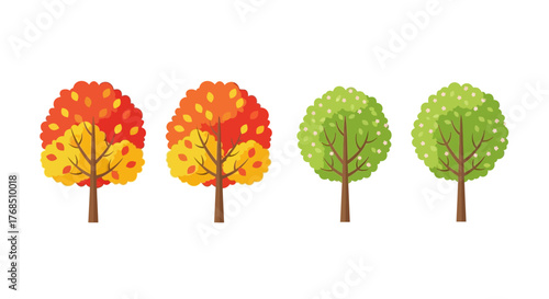 Stylized vector trees depicting the changing seasons from lush green to vibrant autumn shades