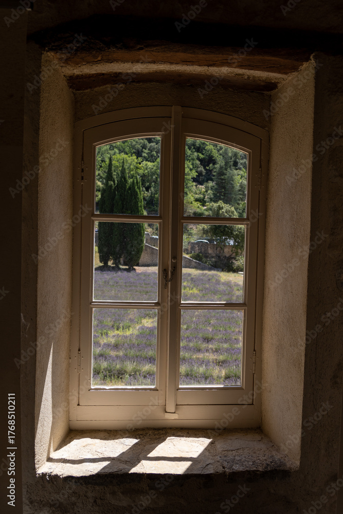 Fototapeta premium Lavender field through window