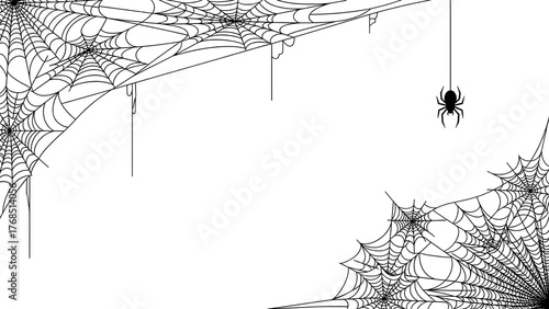 Spiderweb vector illustration hanging spider isolated on white background perfect for Halloween design elements