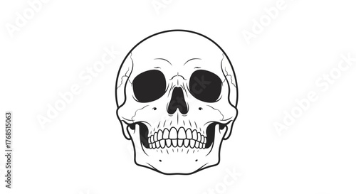 Detailed monochrome anatomical skull depiction with crisp lines and stark contrasts graphic image