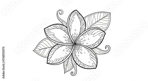 Detailed tropical flower coloring page intricate line art exotic floral design illustration