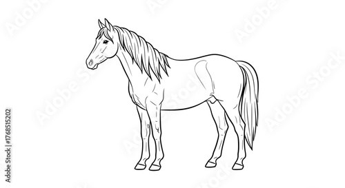 Elegant equine portrait in monochromatic line drawing providing a classic style for various projects