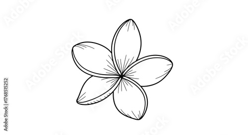 Elegant frangipani flower outline design, a monochrome illustration for botanical artwork
