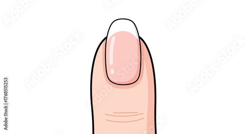 Elegant French manicure vector illustration showcasing nail beauty and style with clean aesthetic