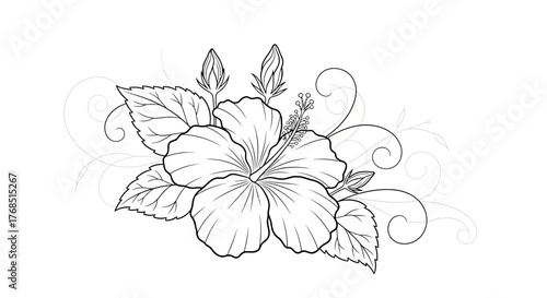 Elegant hibiscus outline drawing showcasing delicate details and floral arrangement art
