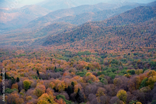 Beautiful natural landscape with autumn trees and mountains. The nature of Adygea. The Lagonaki plateau.