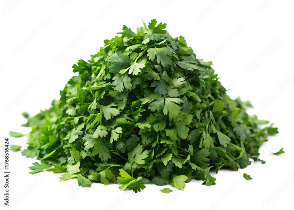 Obraz premium parsleys isolated on transparent white background full depth of field clipping path