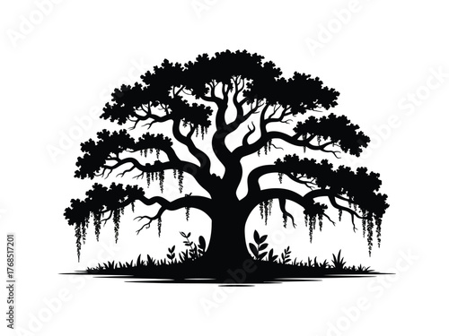 Oak Tree with Cascading Spanish Moss