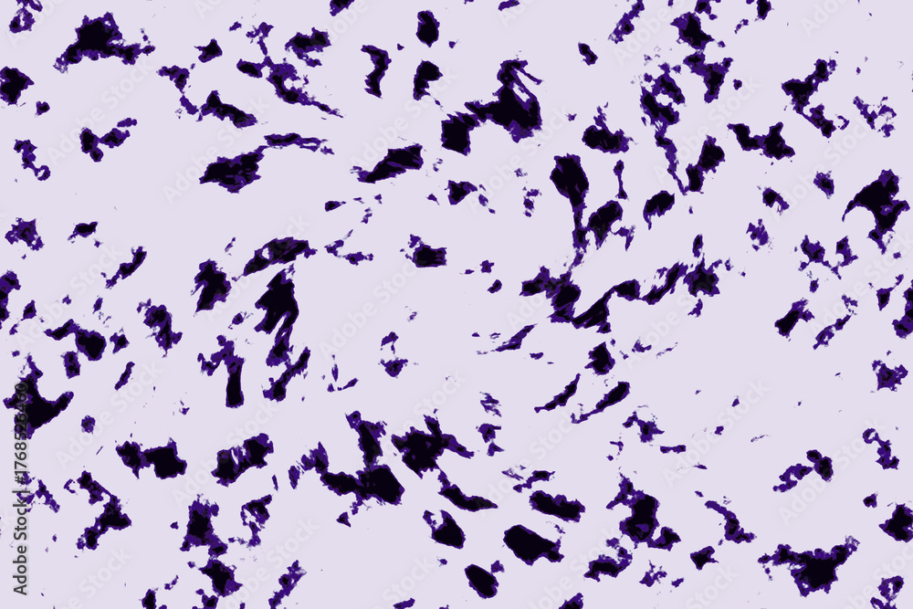Obraz premium Microscopic Grain Structure of Metallographic Sample Under Polarized Light