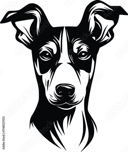 Portuguese Podengo head silhouette with upright ears, sleek muzzle, and alert eyes in black vector