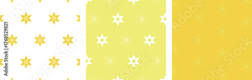 黄色と白の水仙の花柄のパターンセット