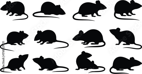 Mouse silhouette icons, black vector rodents, various poses and tail positions, animal graphics, minimal design, nature symbols, pest control, wildlife illustration