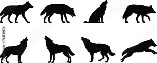 Wolf silhouette icons, black animal graphics, wildlife pose illustrations, howling and walking wolves, nature symbols, minimal design, vector animal set