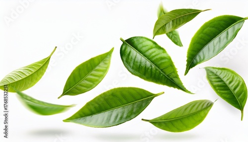 realistic green tea leaves in motion flying on white background