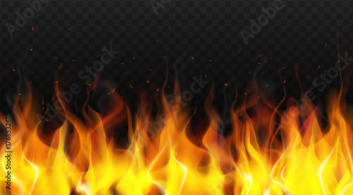 Realistic vector flames fire on a dark background.