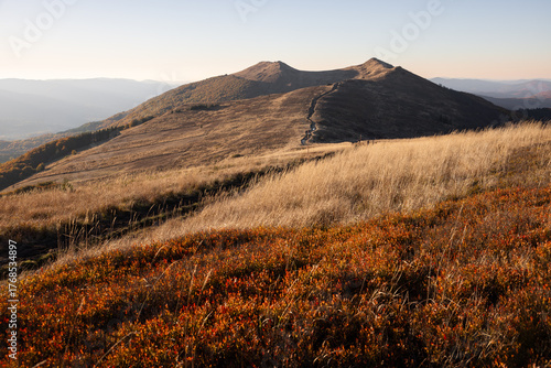 Fototapeta Naklejka Na Ścianę i Meble -  Wieczorny widok z Połoniny Wetlińskiej. Evening view from Połonina Wetlińska.