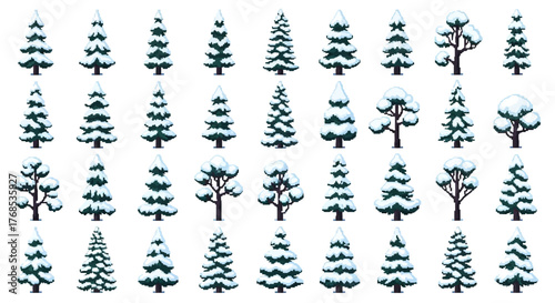 Variety of Winter Trees with Snow A Collection of Christmas and Winter Landscape Elements