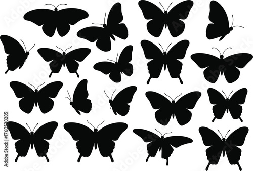 Butterfly silhouettes, wing shapes, insect icons, black figures, nature grid, flying insects, entomology art, species diversity, pattern study, animal forms, butterfly anatomy