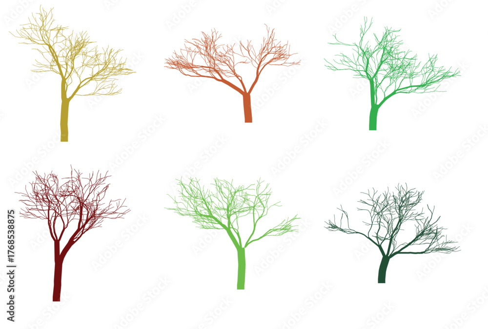 Obraz premium Set of four trees , set of trees, tree vector, set of trees vector