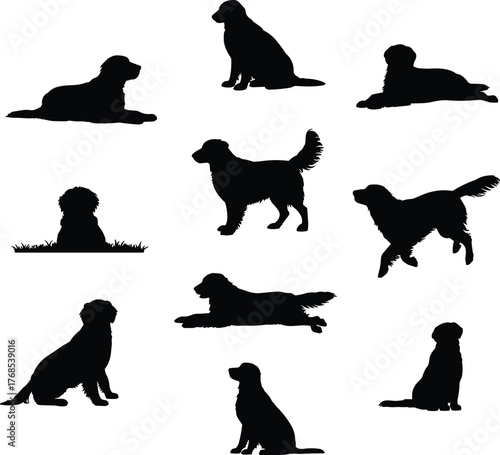 Dog silhouettes, canine poses, breed shapes, sitting dog, running motion, standing posture, black figures, pet icons, animal grid, behavior study, dog anatomy