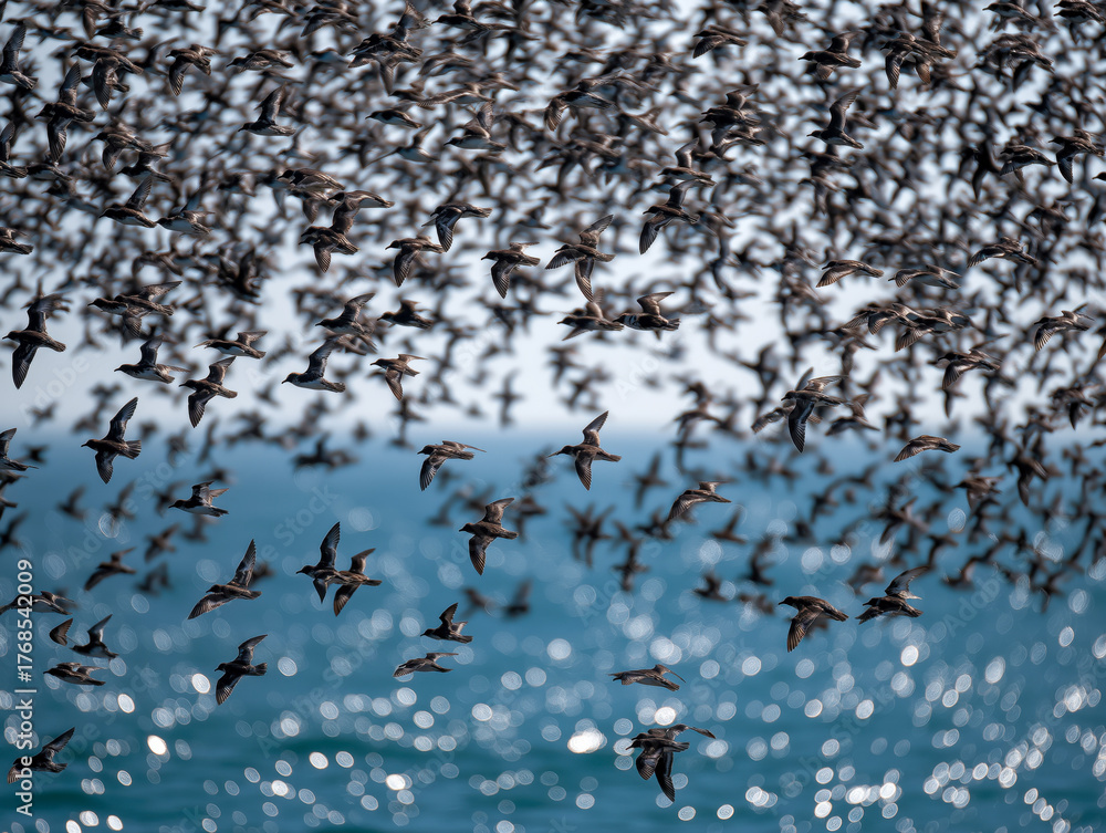 Fototapeta premium massive flock of birds soars in synchronized motion over a shimmering ocean, capturing the energy and grace of migration in a dazzling coastal scene