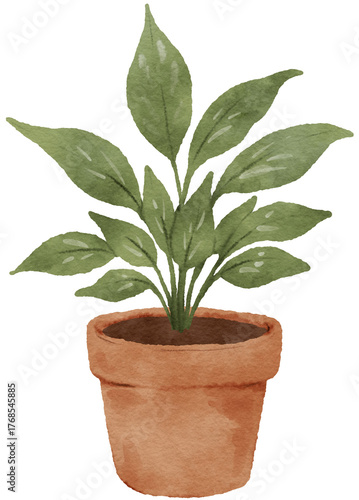 Watercolor potted plant illustration
