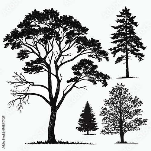 Diverse collection of black silhouette trees including pine fir and deciduous species against a white background
