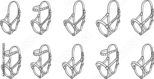 Horse halter set, equestrian gear, tack equipment, leather straps, metal buckles, stable accessory, animal harness, flat vector illustration