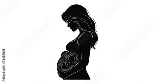 Silhouette of a pregnant woman holding her belly with a fetus inside.