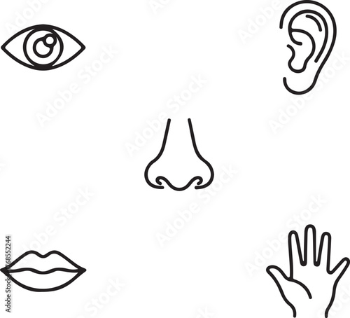 Simple line art icons representing the five human senses vision hearing smell taste touch in clear outline style