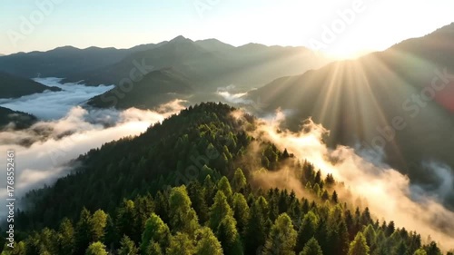 A breathtaking aerial drone shot of tall misty mountains covered in green forest, golden morning sunlight breaking through the clouds,