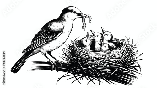 A black and white ink illustration of a bird feeding its chicks in a nest 
