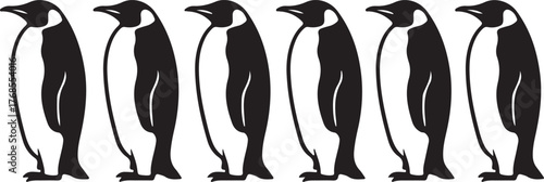 Six regal king penguins standing proudly in a row demonstrating their iconic black and white plumage
