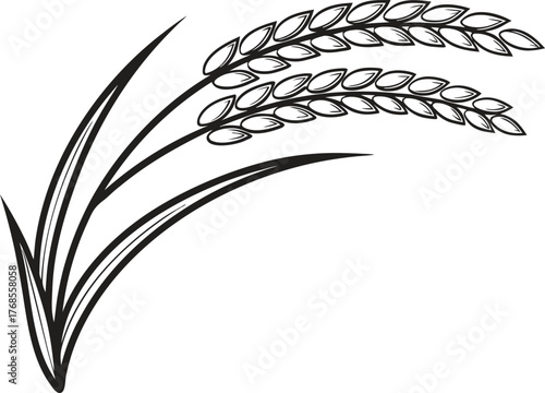 Rice Grain and Bowl Design Collection. Fresh Rice Crop and Harvest Elements. Asian Rice Food and Grain Concept. Steamed Rice and Kitchen Ingredient Art. Organic Rice Plant and Field Illustration