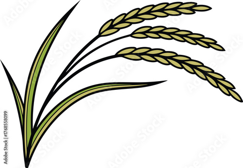 Rice Grain and Bowl Design Collection. Fresh Rice Crop and Harvest Elements. Asian Rice Food and Grain Concept. Steamed Rice and Kitchen Ingredient Art. Organic Rice Plant and Field Illustration